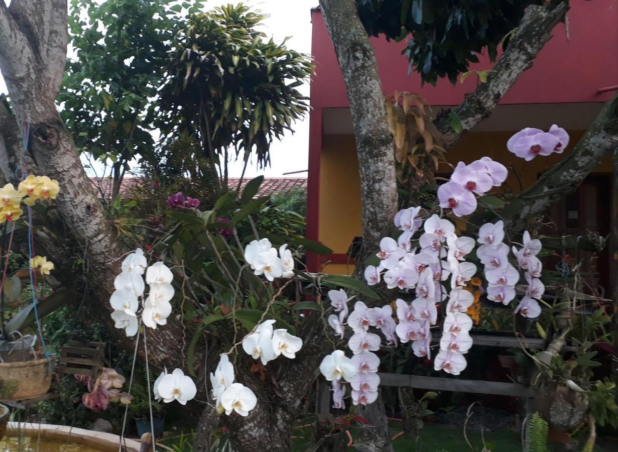 Pousada Bromelias - Suites E Aptos Nova Viçosa 외부 사진